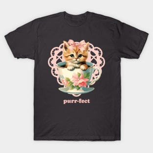 Purr-fect Kitty T-Shirt